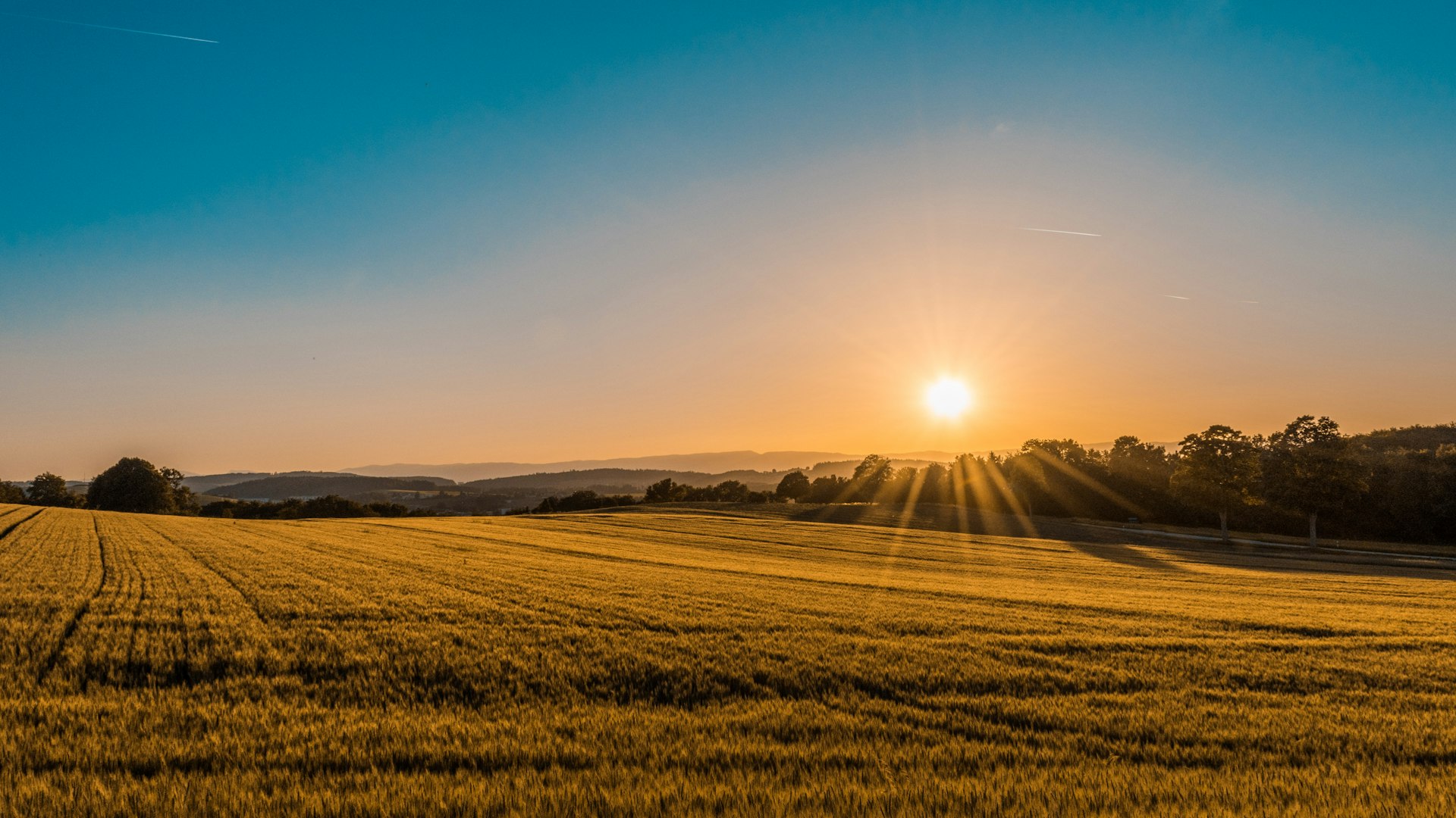 KI-native Impact-Startups im ländlichen Raum: Warum jetzt die Zeit für Gründer:innen aus der Fläche ist – Founders Bay Trends in ländlicher Innovation Blog-Artikel