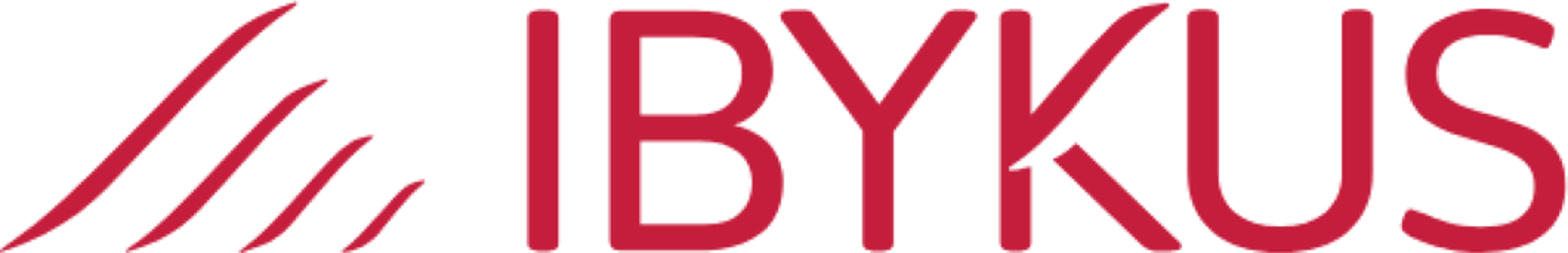 IBYKUS manages the program implementation