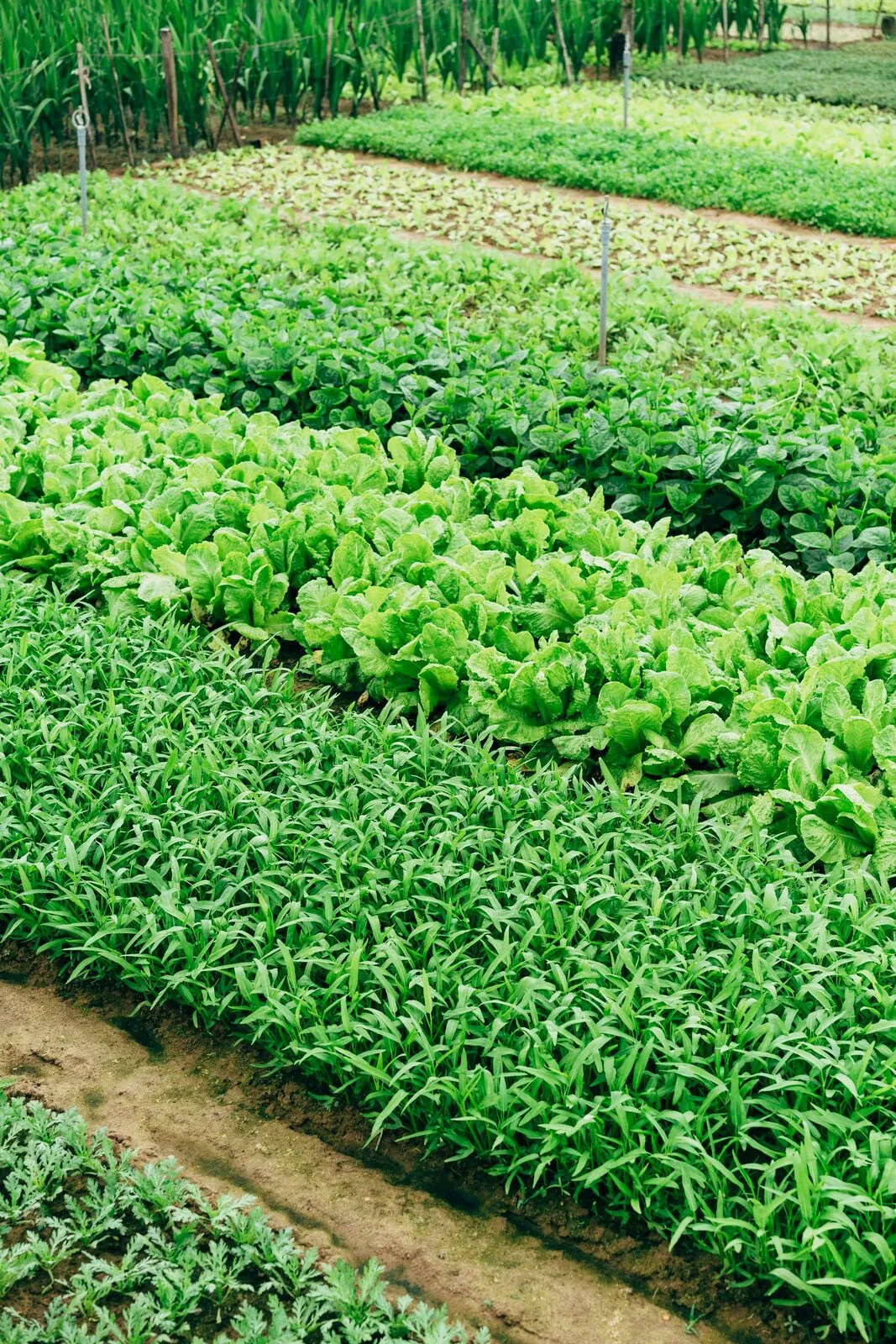 Greenspot – Sustainability startup, Founders Bay Batch #6