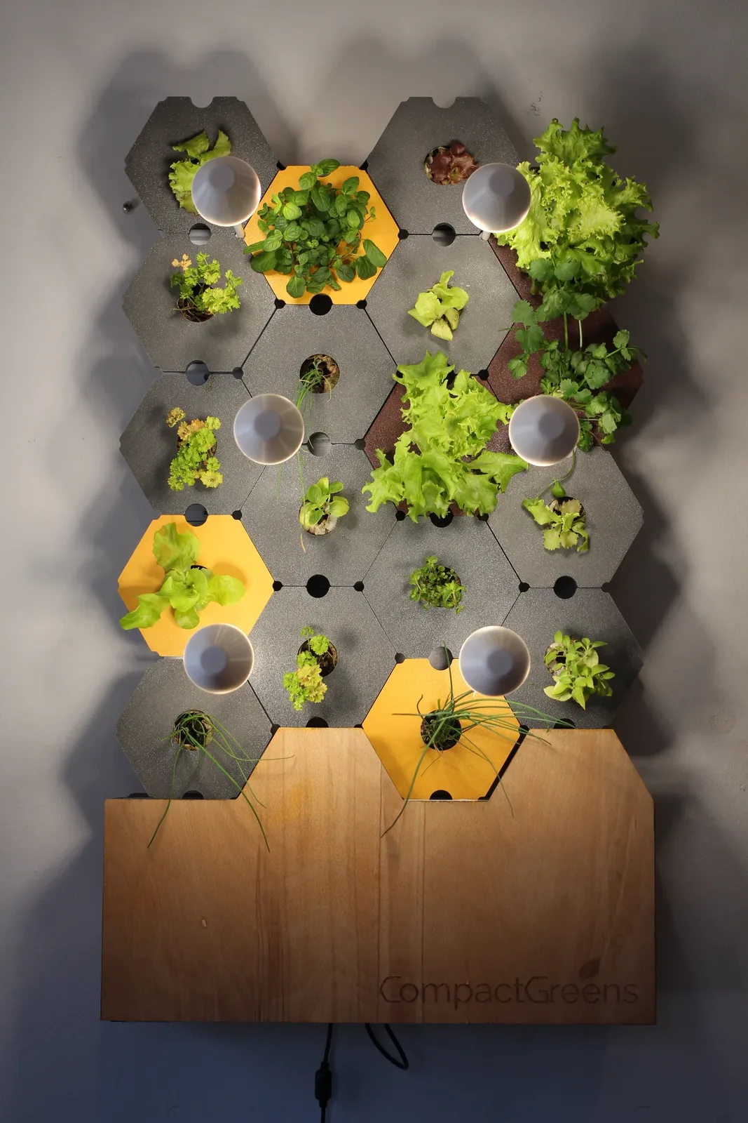 Compactgreens – Hauptansicht aus dem Founders Bay Accelerator-Programm