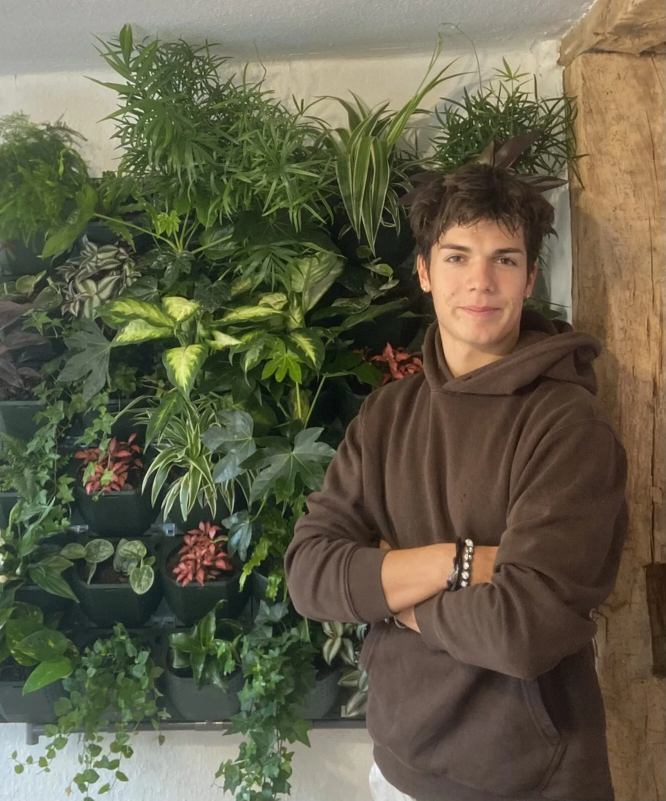 Botano – Hauptansicht aus dem Founders Bay Accelerator-Programm