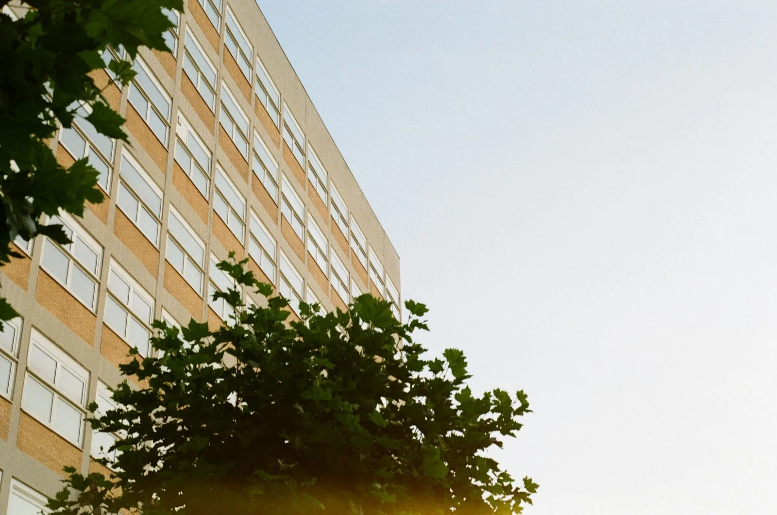 7 Reasons Why Gießen's Equity-Free Accelerator Is Your Ideal Choice – Founders Bay blog article