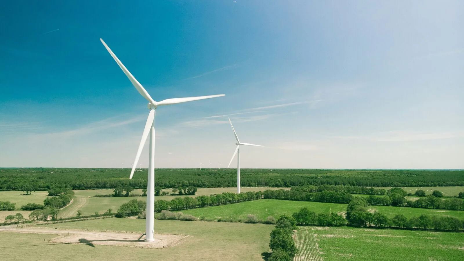 Consulting for Startups: Strategies to Overcome Renewable Energy Challenges – Founders Bay blog article